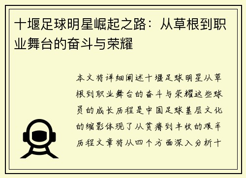 十堰足球明星崛起之路：从草根到职业舞台的奋斗与荣耀